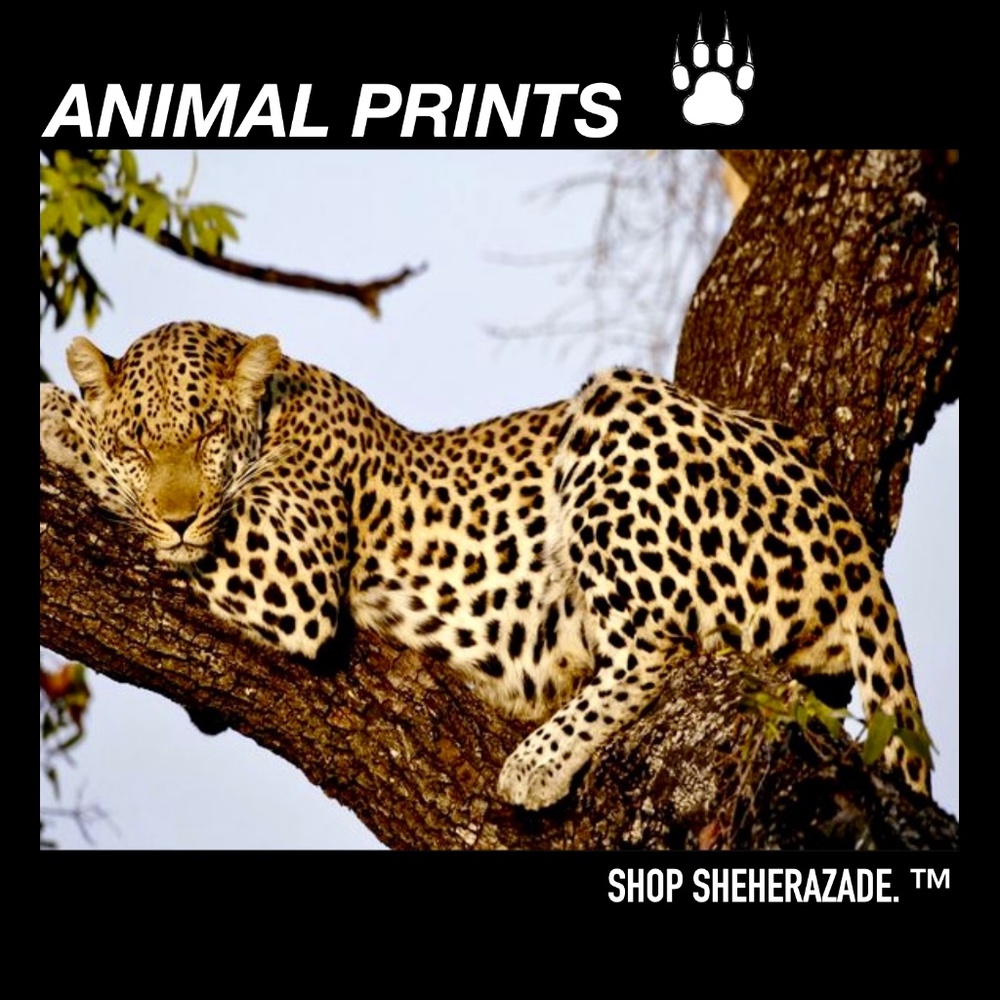 Animal Prints Never Lose Their Spot in Fashion. 🐆